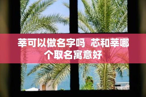 莘可以做名字吗 芯和莘哪个取名寓意好