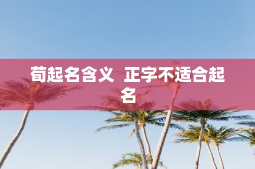 荀起名含义 正字不适合起名