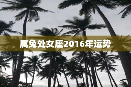 属兔处女座2016年运势