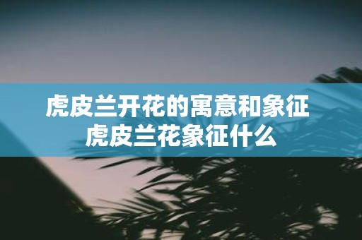 虎皮兰开花的寓意和象征 虎皮兰花象征什么