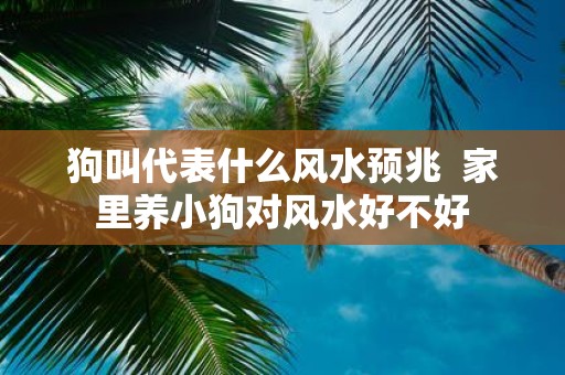 狗叫代表什么风水预兆 家里养小狗对风水好不好