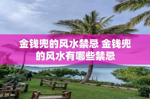 金钱兜的风水禁忌 金钱兜的风水有哪些禁忌