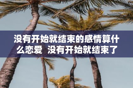 没有开始就结束的感情算什么恋爱 没有开始就结束了的感情