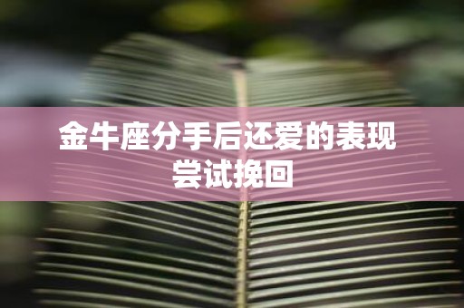 金牛座分手后还爱的表现 尝试挽回