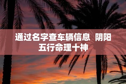 通过名字查车辆信息 阴阳五行命理十神