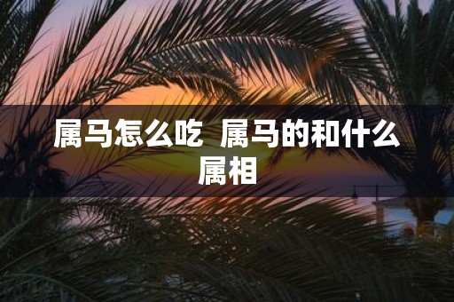 属马怎么吃 属马的和什么属相