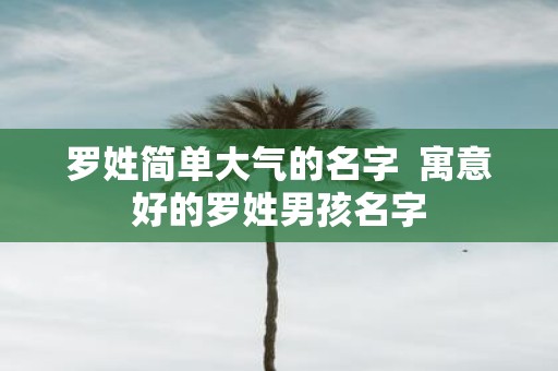 罗姓简单大气的名字 寓意好的罗姓男孩名字