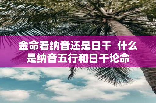 金命看纳音还是日干 什么是纳音五行和日干论命