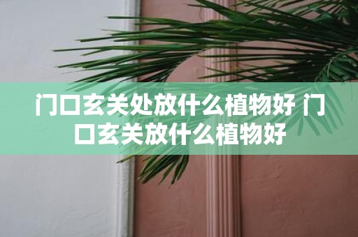 门口玄关处放什么植物好 门口玄关放什么植物好