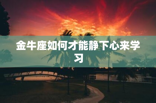 金牛座如何才能静下心来学习