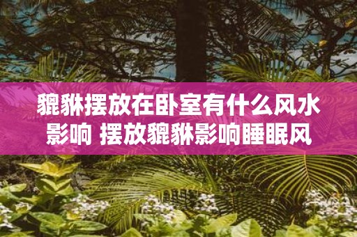 貔貅摆放在卧室有什么风水影响 摆放貔貅影响睡眠风水