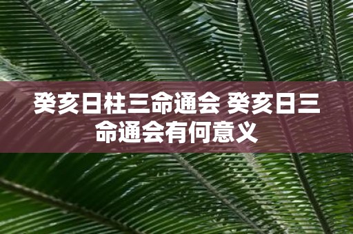 癸亥日柱三命通会 癸亥日三命通会有何意义