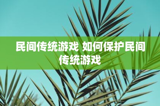 民间传统游戏 如何保护民间传统游戏