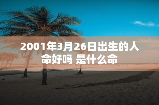 2001年3月26日出生的人命好吗 是什么命