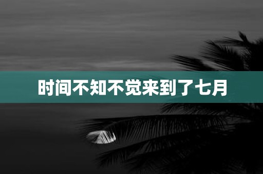 时间不知不觉来到了七月
