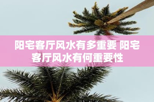 阳宅客厅风水有多重要 阳宅客厅风水有何重要性