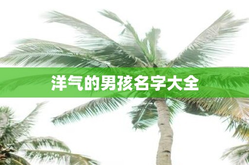 洋气的男孩名字大全