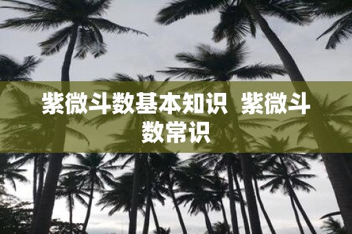 紫微斗数基本知识 紫微斗数常识
