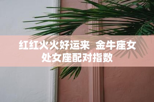 红红火火好运来 金牛座女处女座配对指数