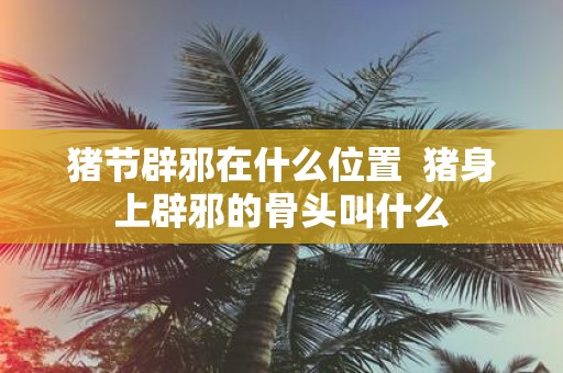 猪节辟邪在什么位置 猪身上辟邪的骨头叫什么