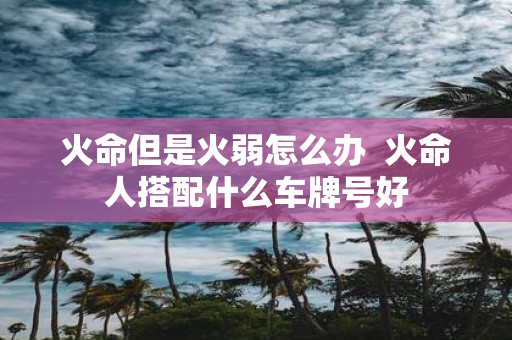 火命但是火弱怎么办 火命人搭配什么车牌号好