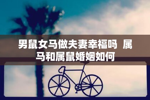 男鼠女马做夫妻幸福吗 属马和属鼠婚姻如何