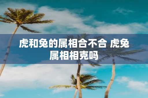虎和兔的属相合不合 虎兔属相相克吗