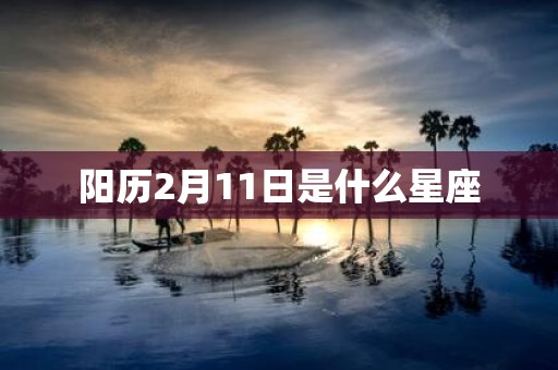 阳历2月11日是什么星座