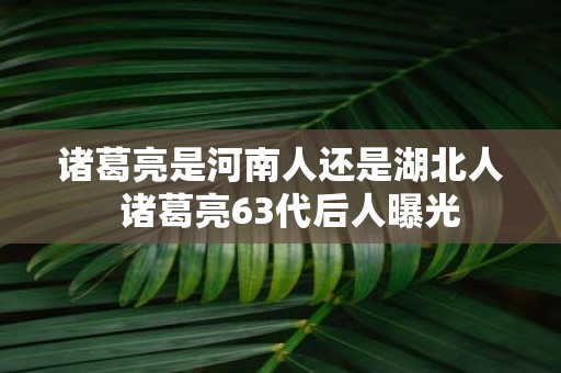 诸葛亮是河南人还是湖北人 诸葛亮63代后人曝光