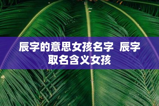 辰字的意思女孩名字 辰字取名含义女孩