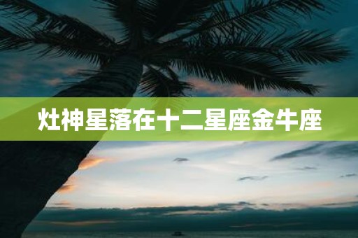 灶神星落在十二星座金牛座