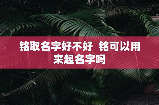 铭取名字好不好 铭可以用来起名字吗