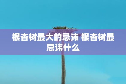 银杏树最大的忌讳 银杏树最忌讳什么