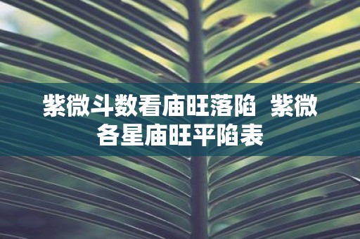 紫微斗数看庙旺落陷 紫微各星庙旺平陷表