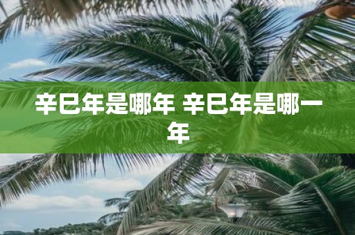 辛巳年是哪年 辛巳年是哪一年