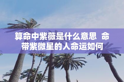 算命中紫薇是什么意思  命带紫微星的人命运如何