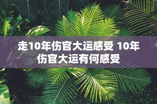 走10年伤官大运感受 10年伤官大运有何感受