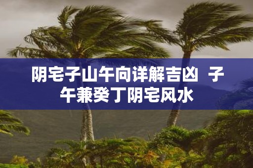 阴宅子山午向详解吉凶 子午兼癸丁阴宅风水