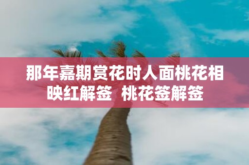 那年嘉期赏花时人面桃花相映红解签 桃花签解签