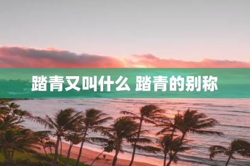 踏青又叫什么 踏青的别称