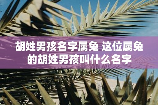 胡姓男孩名字属兔 这位属兔的胡姓男孩叫什么名字