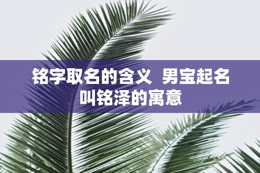 铭字取名的含义 男宝起名叫铭泽的寓意