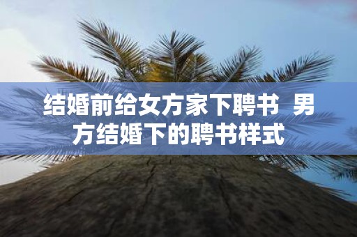结婚前给女方家下聘书 男方结婚下的聘书样式