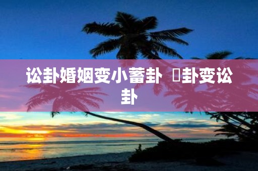 讼卦婚姻变小蓄卦 姤卦变讼卦