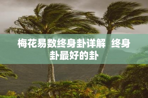 梅花易数终身卦详解 终身卦最好的卦