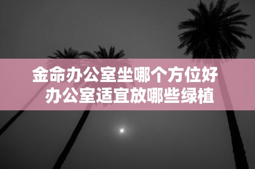 金命办公室坐哪个方位好 办公室适宜放哪些绿植