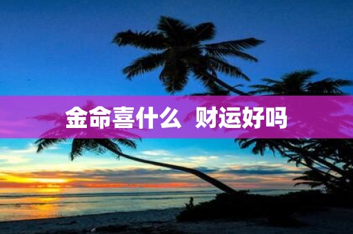 金命喜什么 财运好吗