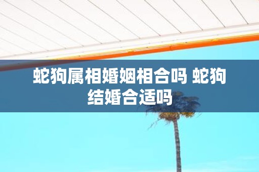 蛇狗属相婚姻相合吗 蛇狗结婚合适吗