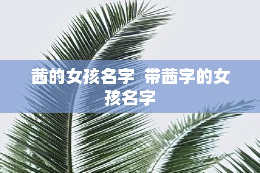 茜的女孩名字 带茜字的女孩名字