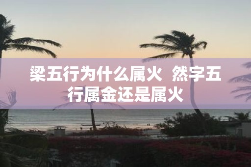 梁五行为什么属火 然字五行属金还是属火